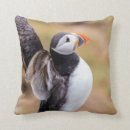 Recherche de macareux coussins Nature