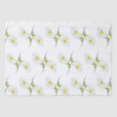Recherche de white daisy Marguerite blanche