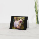 Recherche de abréviation vœux cartes Chat