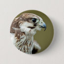 Recherche de fauconnerie badges Chasse
