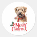 Recherche de staffordshire autocollants Chien