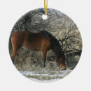 Recherche de cheval de mustang ornements Neige