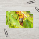 Recherche de escargot cartes visite Spirale