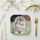 Recherche de bonne année assiettes en papier Pour eux