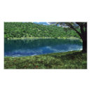 Zoek naar rimpels posters Groen