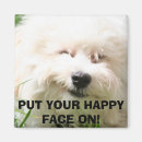 Recherche de bichon magnets Animaux