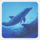 Recherche de habitat autocollants Animal