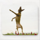 Recherche de balles tennis tapis souris Animal