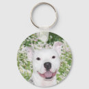 Recherche de terrier de pitbull porteclés Dog