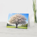 Zoek naar appelboom kaarten Lente