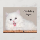 Recherche de chaton blanc cartes postales Drôle
