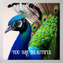 Zoek naar veren pauw posters Mooi