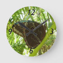 Recherche de papillon bleu horloges Vert
