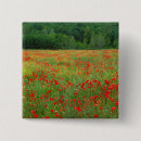 Recherche de coquelicot badges Fleur