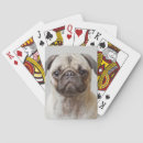 Recherche de carlin jeux de cartes Chiot