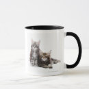 Zoek naar maine coon cat mokken Dieren