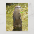Recherche de griffe cartes postales Faune