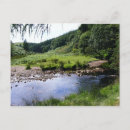 Recherche de don cartes postales Ruisseau
