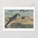 Recherche de marsouin cartes postales Floride