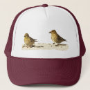 Recherche de pins casquettes Nature