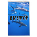 Recherche de requins calendriers Requin marteau