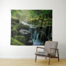 Recherche de crique photographie Nature