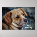 Recherche de refuge art Chien