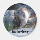 Recherche de alpes suisses magnets La suisse