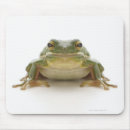 Recherche de frog tapis souris Animaux