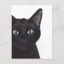 Recherche de carte chats cartes postales Steampunk