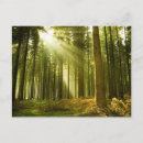 Zoek naar zonneschijn briefkaarten Mooi