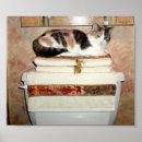 Recherche de chat toilette art Salle de bain