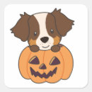 Recherche de australiens de berger autocollants Amoureux des chiens