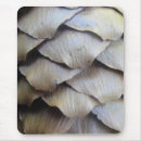 Recherche de sapin tapis souris Nature