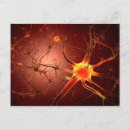 Recherche de neurones cartes postales Synapse
