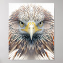Zoek naar adelaars tekening posters Vogel