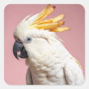 Recherche de perroquet drôle autocollants Cockatoo
