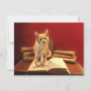 Recherche de chats et livres cartes postales Pour tous