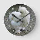 Recherche de plumage art Poulet