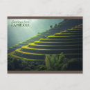 Zoek naar cambodja briefkaarten Groen