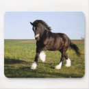 Recherche de horse mousepads Équin
