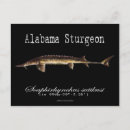 Recherche de l alabama cartes postales Pêche