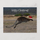 Recherche de kangourou noël cartes Amusant