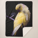 Zoek naar parkieten dekens Vogel