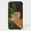 Recherche de savannah iphone coques Savane