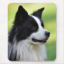 Recherche de border collie tapis souris Photographie