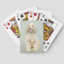 Recherche de cocker spaniels jeux de cartes Pour tous