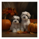 Recherche de tzu posters Automne