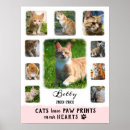 Recherche de citations de chat posters Pour animaux