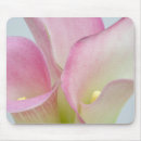 Recherche de lis roses tapis souris Lys